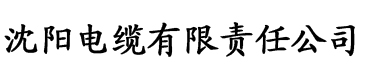 论理在线视频电缆厂logo